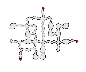 map/迷いの森_3.png
